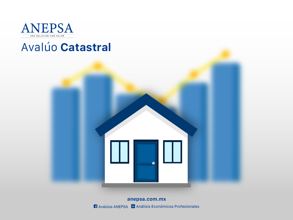cadastral appraisal2