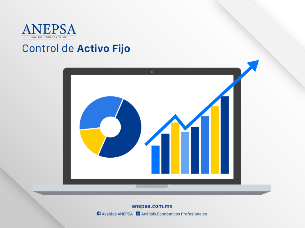 fixed asset control