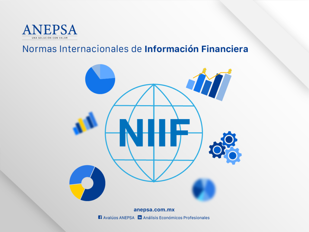 NIIF Normas Internacionales de Información Financiera ANEPSA
