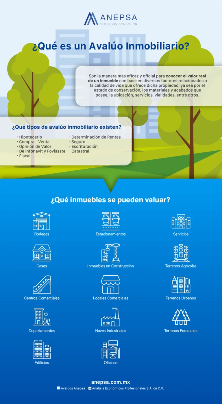 ¿Qué son los avalúos inmobiliarios? 2 INFOGRAFIA INMOBILIARIOS 768x1394 1