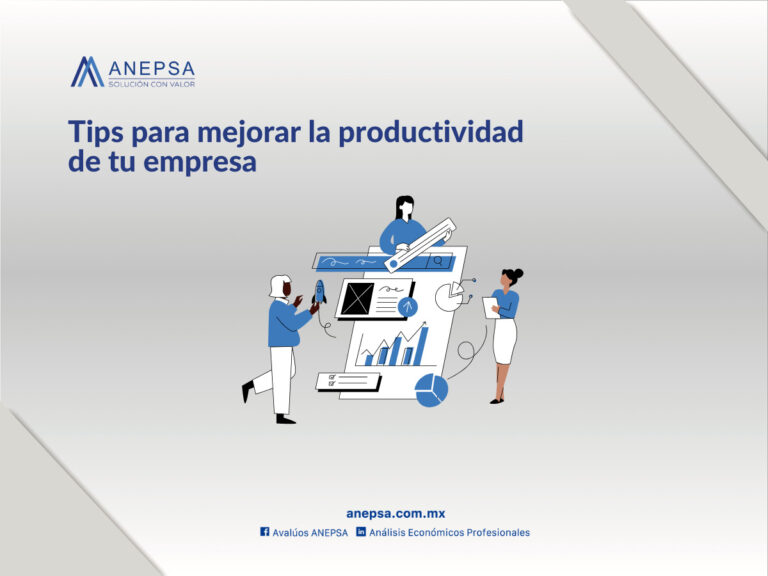 Mejora La Productividad En La Empresa Anepsa