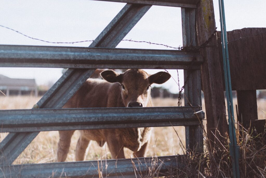 Farm appraisal 3 pexels spencer selover 775418