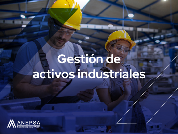 Industrial Asset Management 2 Industrial asset management