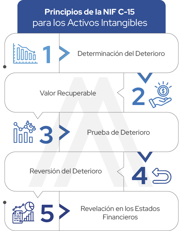Key Guidelines of NIF C-15 for Intangible Assets