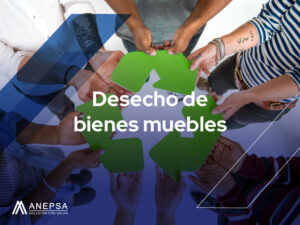 desecho de bienes muebles