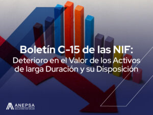 Boletin C 15 de las NIF