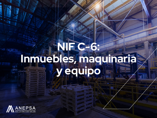 Norma de Informacion Financiera C 6 Inmuebles maquinaria y equipo