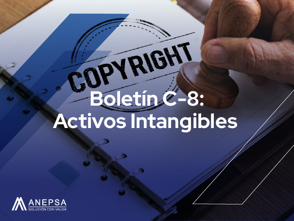Bulletin C 8 Intangible Assets