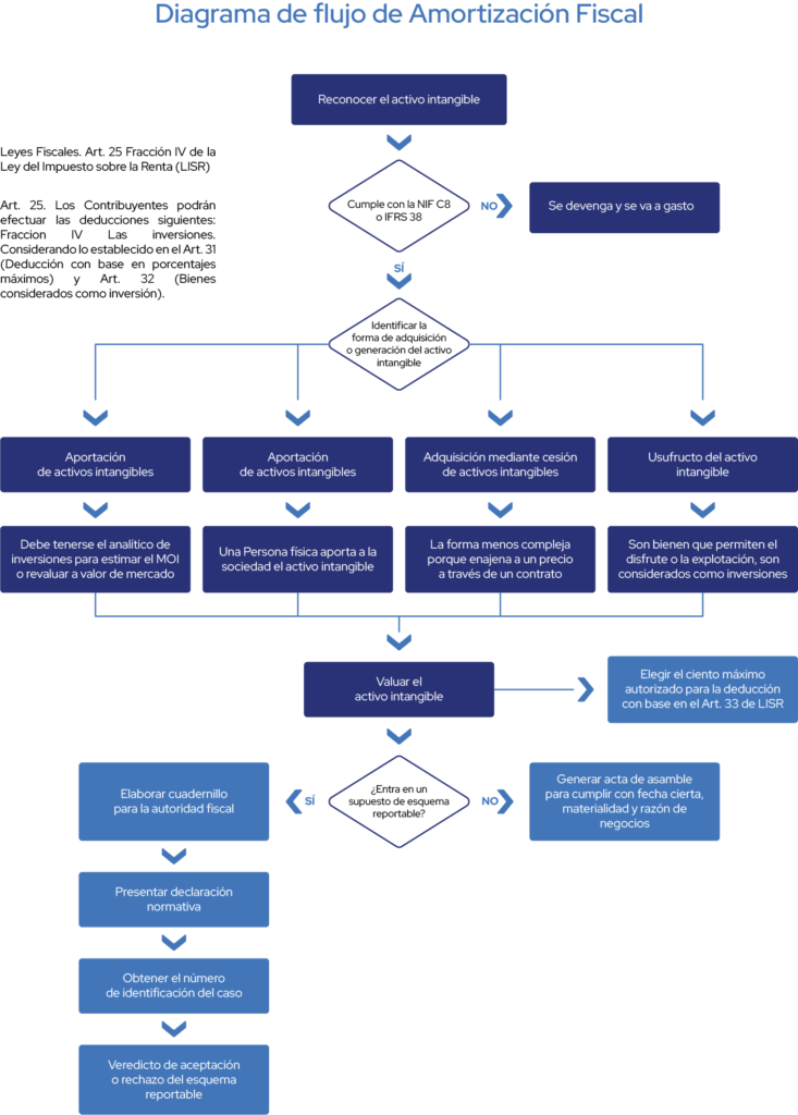 tax amortization flow chartResource 2 1