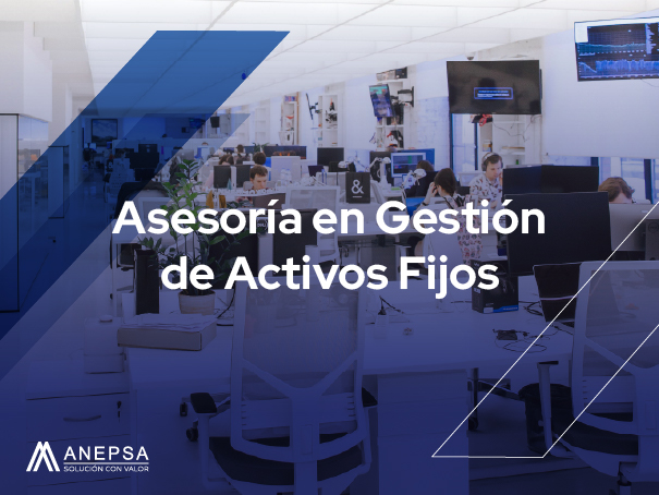 Asesoría en gestión de activos fijos