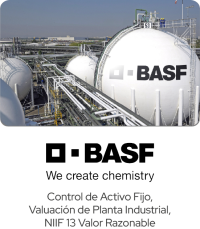 ¿Quiénes Somos? 11 basf