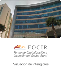 ¿Quiénes Somos? 14 focir